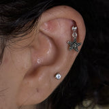Starfish Helix Drops