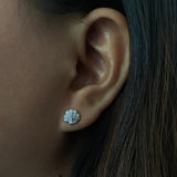 Sea Life Ear Studs