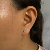 Star Struck Ear Studs