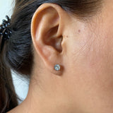 Round Zircon Ear Studs