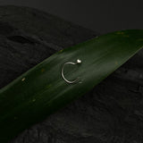 Silver Ball Nose Pin