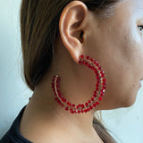 Deep Red Mesh Earrings