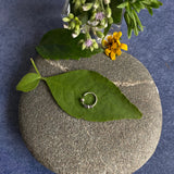 Spiral & Bead Nose Ring