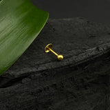 Gold Ball Nose Pin(Screw)