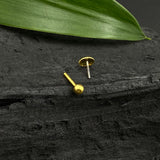 Gold Ball Nose Pin(Screw)