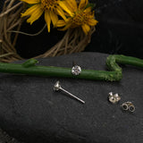 Classic Zircon Ear Studs