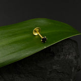 Black Nose Pin (Gold Plated)