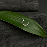 Silver Ball Nose Pin