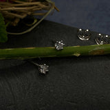 Zircon Ear Studs