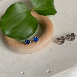 Blue Ear Studs