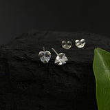 Heart Zircon Ear studs