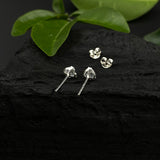 Heart Zircon Ear studs
