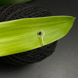Spiral Black Nose Clip-on
