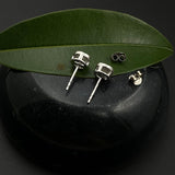 Round Zircon Ear Studs