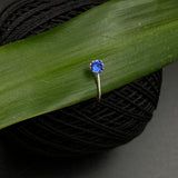 Tiny Blue Nose Clip-on