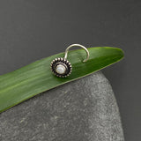Classic Pearl Nose Pin