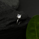 Classic Zircon Nose Clip on