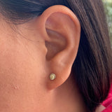 Shiva Eye Ear Studs
