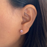 Powder Pink Ear Studs