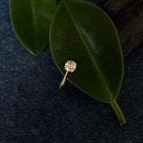 Zircon Nose Clip-On(Gold Plated)