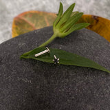 Tiny Black Star Nose Pin