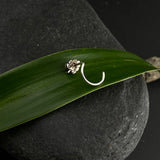 Leaf Nose Pin