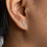 Silver Leaf Ear Studs