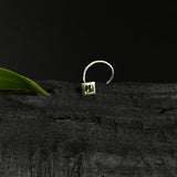 Olive Frame Nose Pin