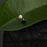 Black Single Stone Nose Pin