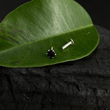 Black Single Stone Nose Pin