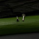 Tiny Black Star Nose Pin
