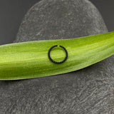 Twisted Black Ring
