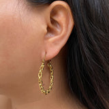 Brass Loop Earrings (Gold)