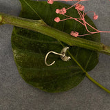 Rudra Nose Pin