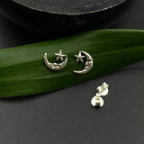 Moon & Star Ear Studs