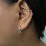 Fly Hoops