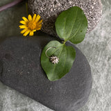 Black Dandelion With Zircon