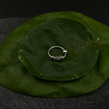 Super Tiny Silver Nose Ring