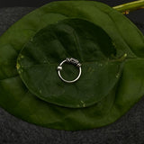 Super Tiny Silver Nose Ring