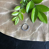 Classic Dotted Septum Ring